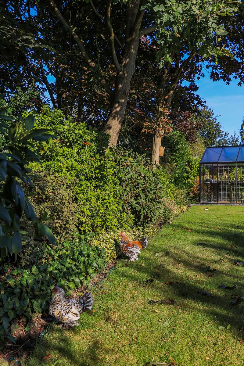Aalscholver 16, 9728 XK Groningen - € 1.175.000 k.k. - Boekholt & partners makelaars Groningen