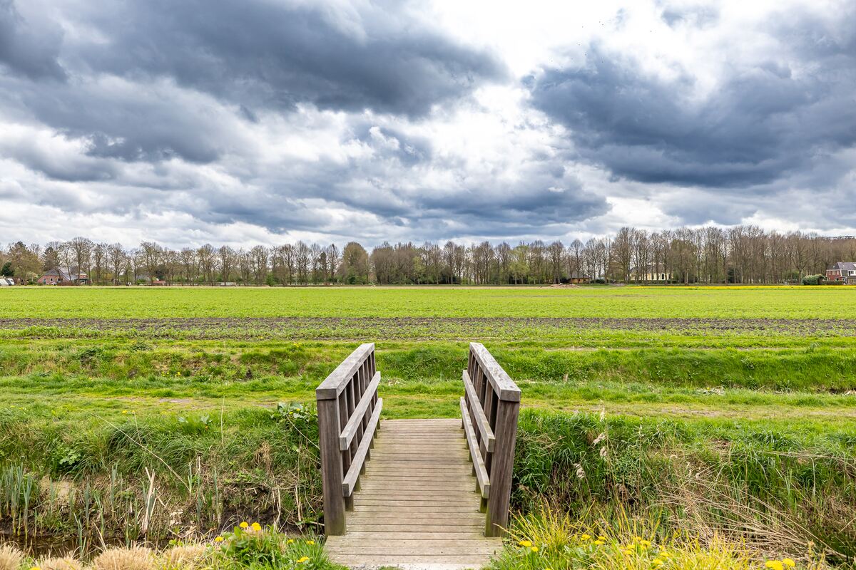 Boekhors 17, 9608 PW Westerbroek - € 525.000 k.k. - Boekholt & partners makelaars Groningen