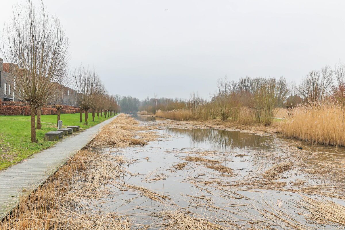 Boraxstraat 149, 9743 VN Groningen - € 339.000 k.k. - Boekholt & partners makelaars Groningen