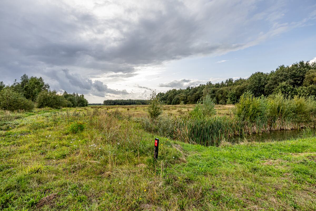 Bosbraam 17, 9408 LD Assen - € 375.000 k.k. - Boekholt & partners makelaars Groningen