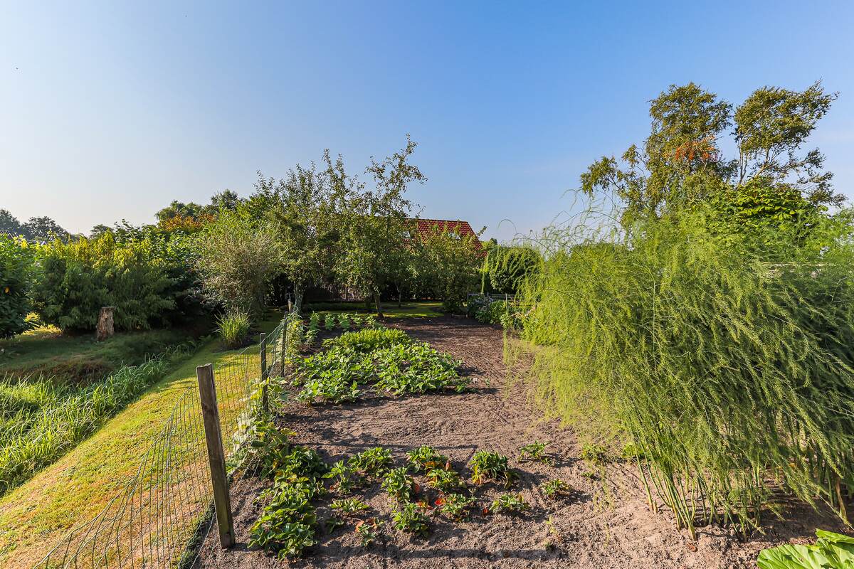 Hoethslaan 43, 9681 CL Midwolda - € 295.000 k.k. - Boekholt & partners makelaars Groningen