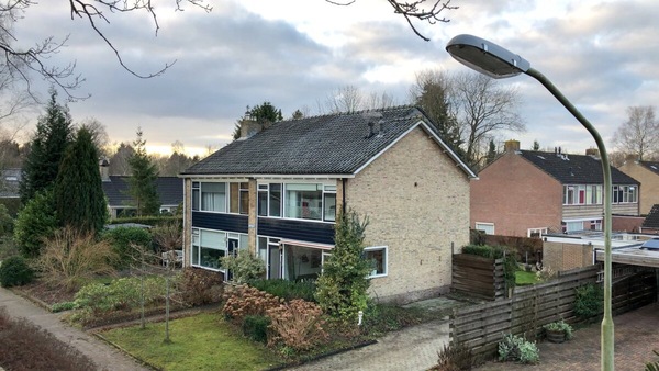 Iepenlaan 25