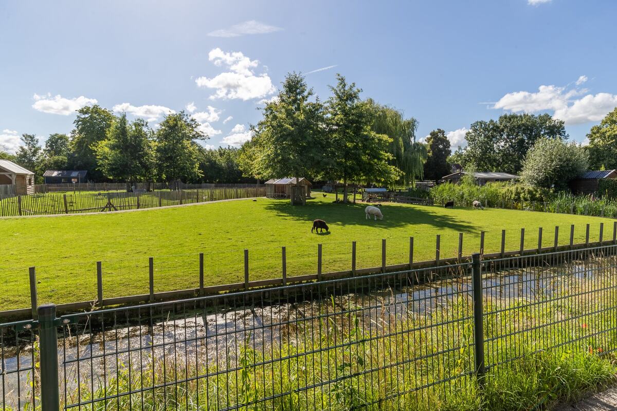 Kamilleweg 51, 9731 JE Groningen - € 275.000 k.k. - Boekholt & partners makelaars Groningen