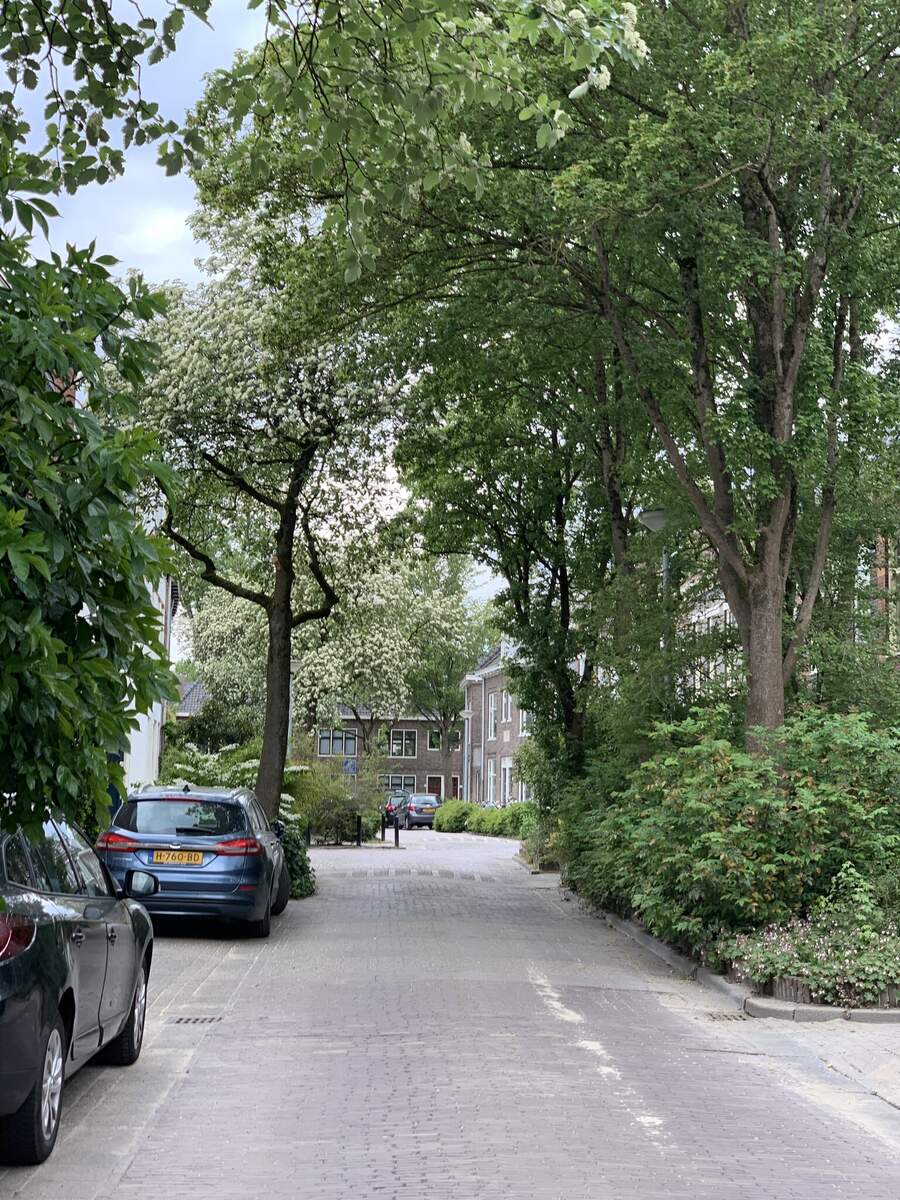 Kloosterstraat 35, 9717 LB Groningen - € 495.000 k.k. - Boekholt & partners makelaars Groningen