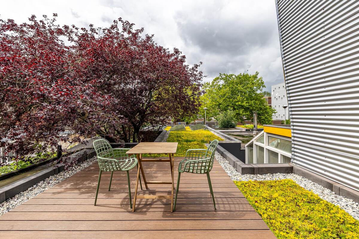 Nieuwe Kijk in Het Jatstraat 44, 9712 SJ Groningen - € 630.000 k.k. - Boekholt & partners makelaars Groningen