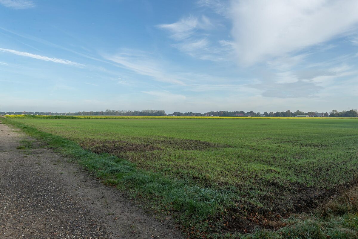 Nieuweweg 9, 9636 TB Zuidbroek - € 415.000 k.k. - Boekholt & partners makelaars Groningen