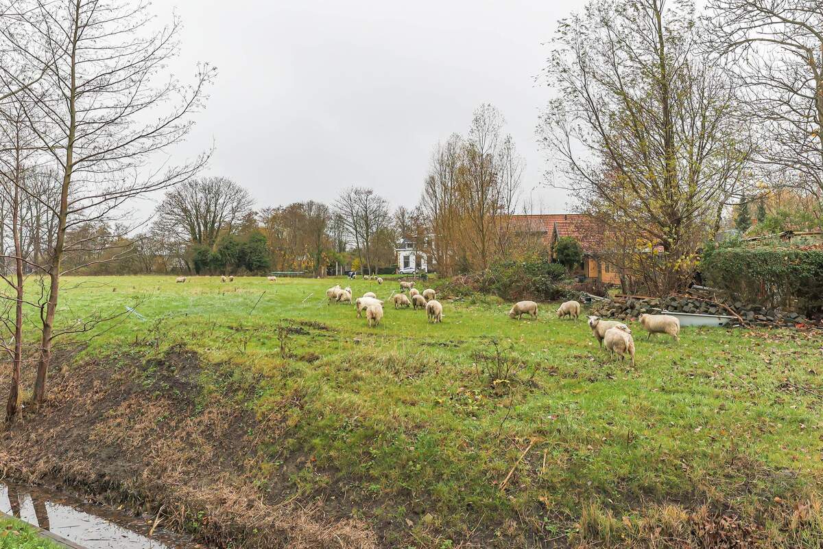 Regattaweg 218, 9731 AJ Groningen - € 240.000 k.k. - Boekholt & partners makelaars Groningen