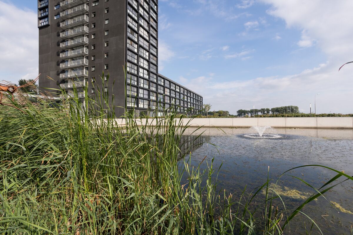 Regattaweg 32, 9731 NE Groningen - € 312.000 k.k. - Boekholt & partners makelaars Groningen