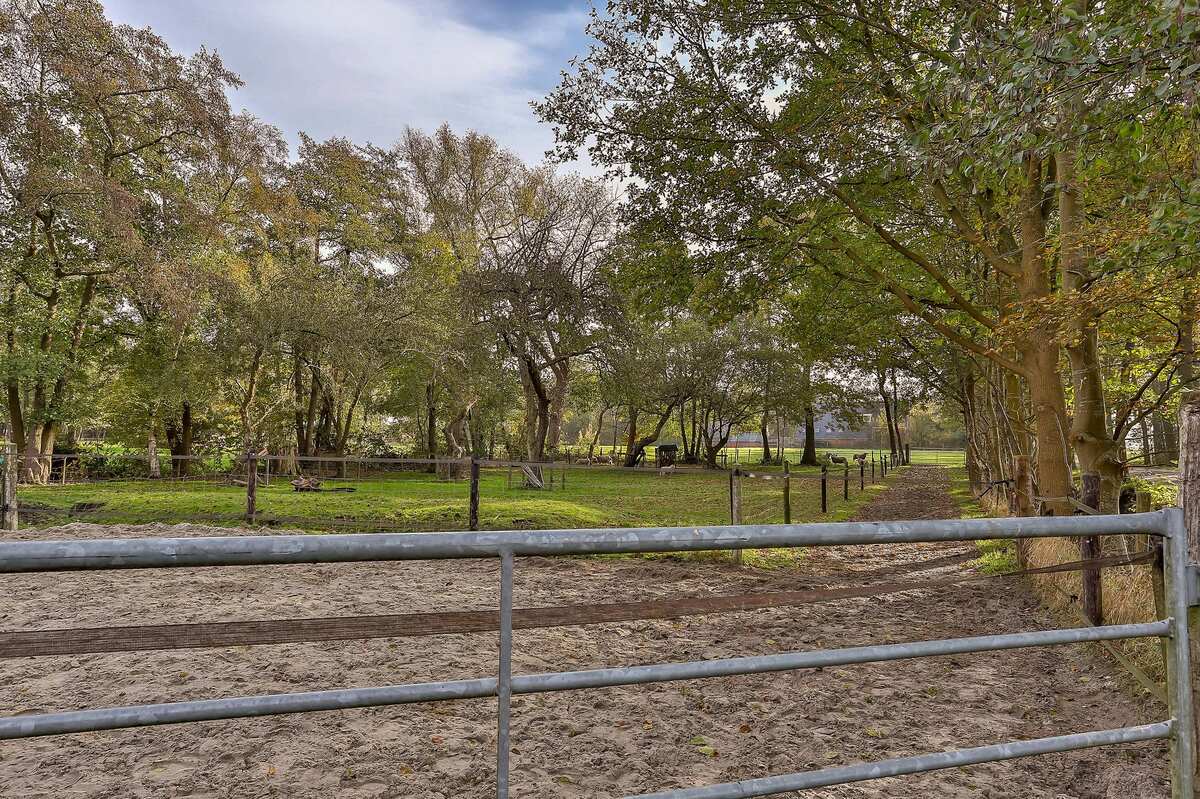 Roderwolderweg 19, 9314 TA Foxwolde - € 775.000 k.k. - Boekholt & partners makelaars Groningen
