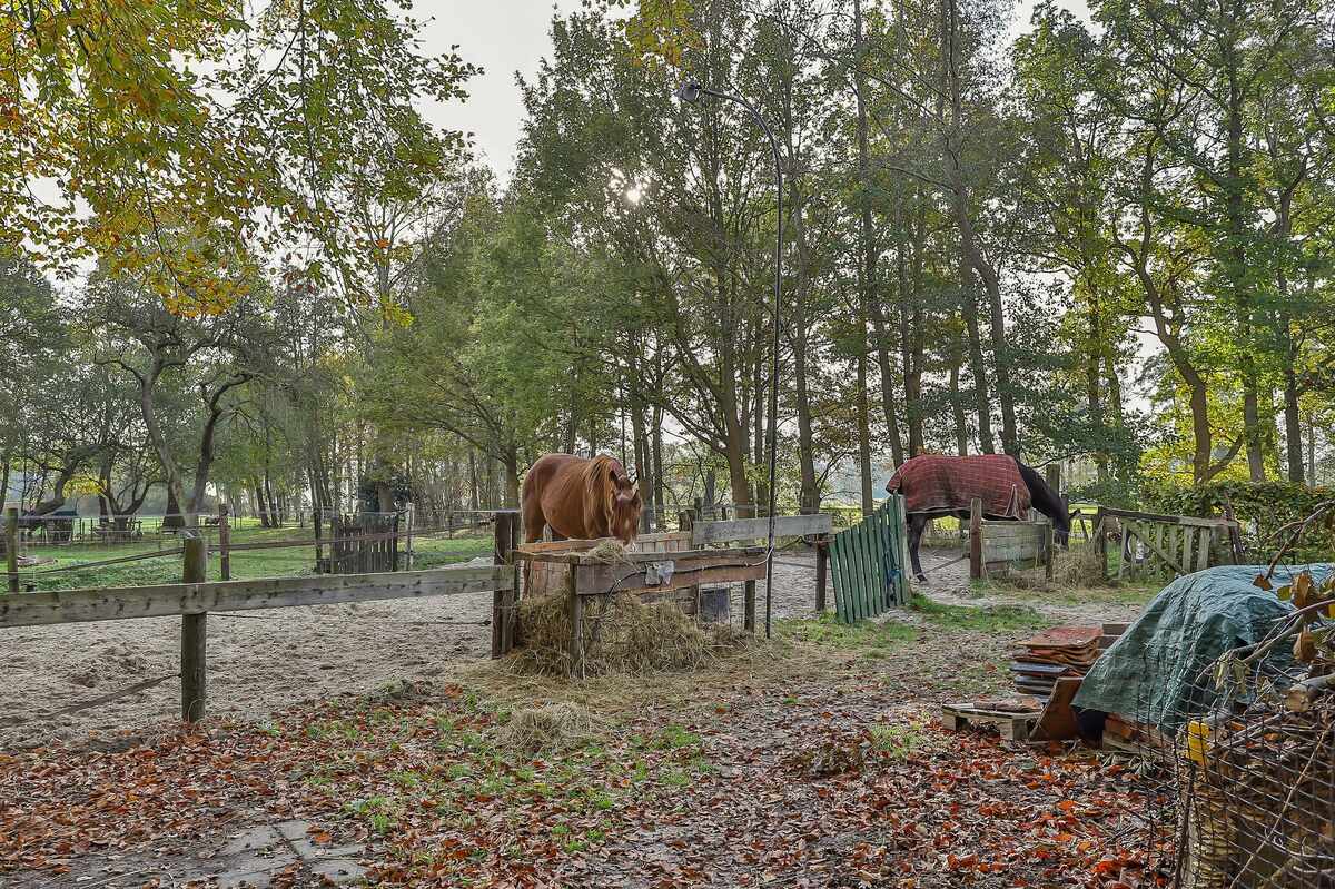Roderwolderweg 19, 9314 TA Foxwolde - € 775.000 k.k. - Boekholt & partners makelaars Groningen