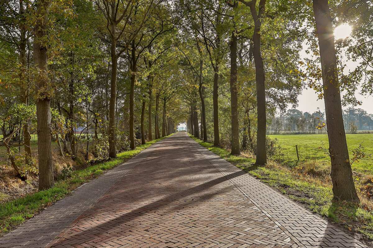 Roderwolderweg 19, 9314 TA Foxwolde - € 775.000 k.k. - Boekholt & partners makelaars Groningen