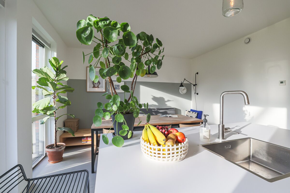Sint Maartenstraat 20, 9714 JV Groningen - € 450.000 k.k. - Boekholt & partners makelaars Groningen