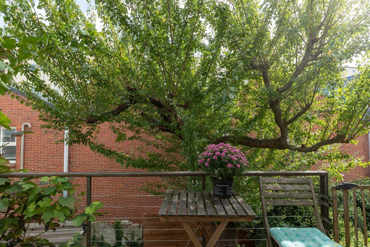 Tuinbouwstraat 54, 9717 JK Groningen - € 369.000 k.k. - Boekholt & partners makelaars Groningen