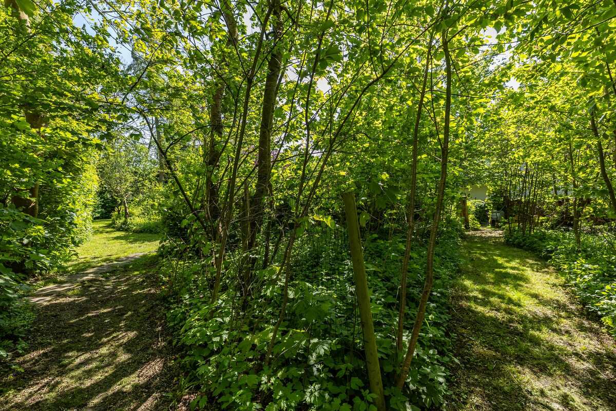 Wagenborgerweg 19, 9944 GA Nieuwolda - € 475.000 k.k. - Boekholt & partners makelaars Groningen