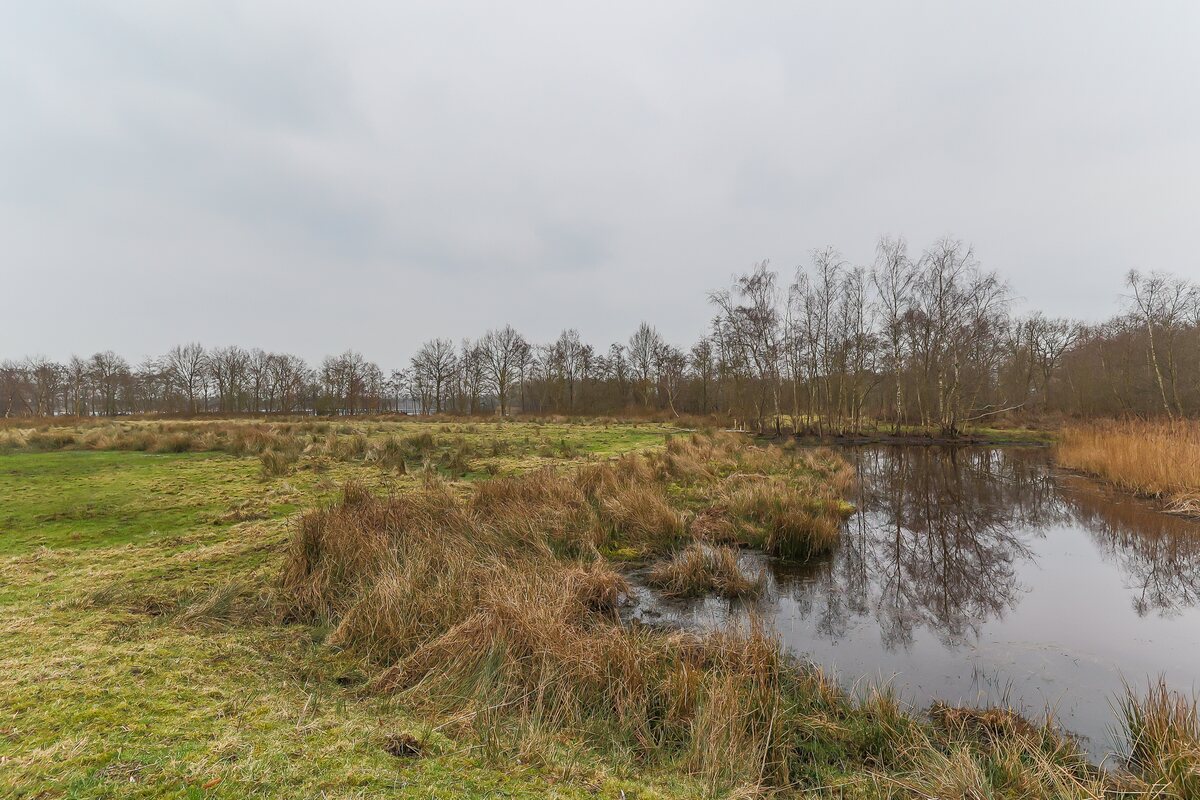 Waterhoen 9, 9728 XM Groningen - € 925.000 k.k. - Boekholt & partners makelaars Groningen