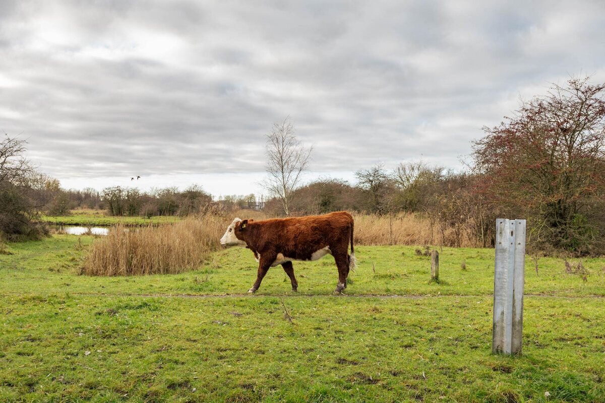 Waterland 169, 9734 BE Groningen - € 350.000 k.k. - Boekholt & partners makelaars Groningen