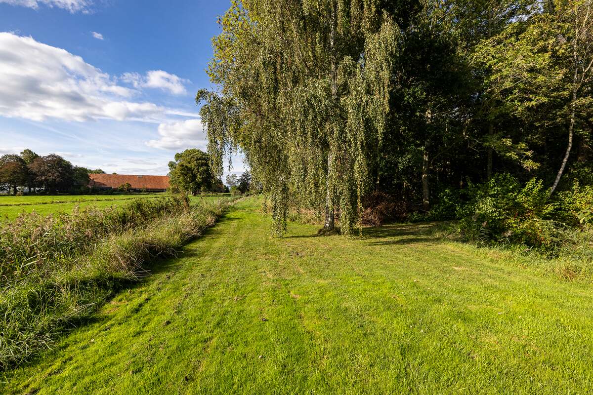 Woelkamp 3, 9944 AZ Nieuwolda - € 695.000 k.k. - Boekholt & partners makelaars Groningen