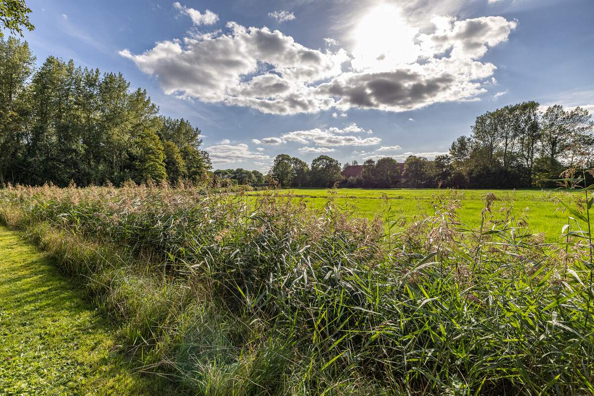 Woelkamp 3, 9944 AZ Nieuwolda - € 695.000 k.k. - Boekholt & partners makelaars Groningen